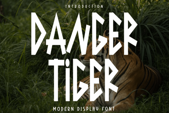 Danger Tiger: An Autumnal Script with Modern Bite
