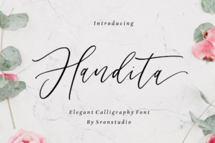 Handita: A Contemporary Script for Timeless Appeal