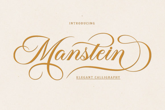Manstein: The Stylish Script for Modern Branding