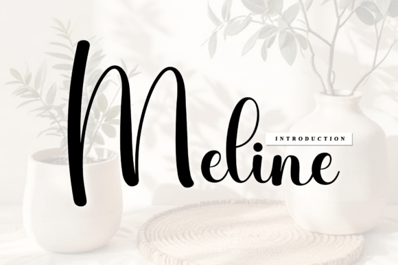 Meline: The Calligraphic Script Font with Artisanal Soul