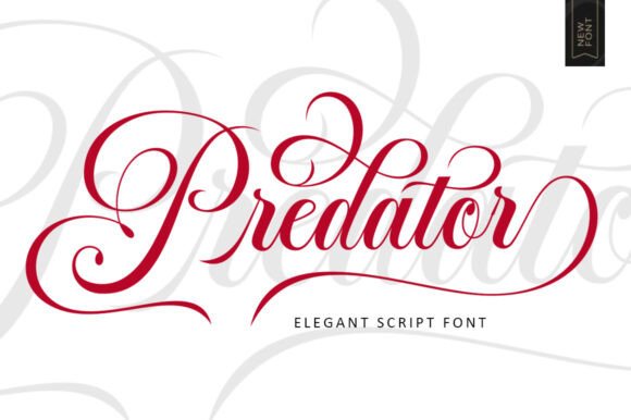 The Predator Script: A Modern Take on Elegant Typography